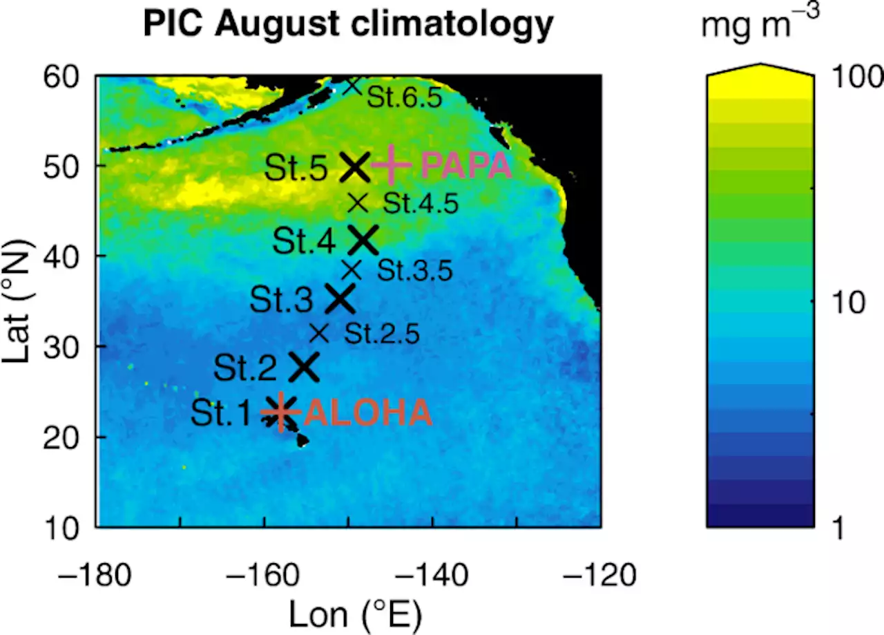 Pelagic calcium carbonate production and shallow dissolution in the North Pacific Ocean - Nature Communications