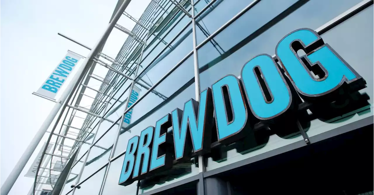 British craft beer firm BrewDog in JV deal for China expansion