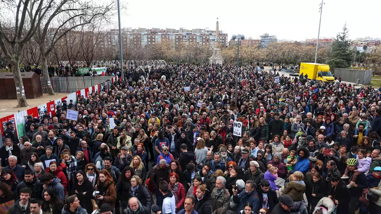 La Comunidad de Madrid paraliza la tala de árboles tras la protesta