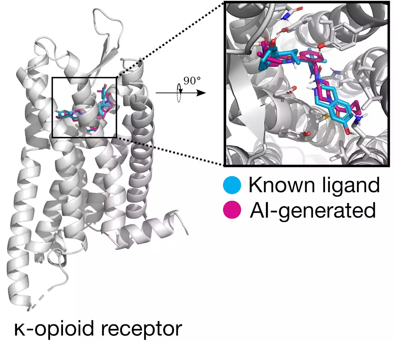 How AI Can Help Create and Optimize Drugs To Treat Opioid Addiction