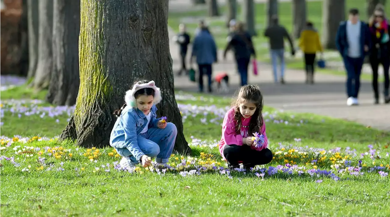 Shropshire's weather for half term looks great, but the Beast From The East could still be lurking