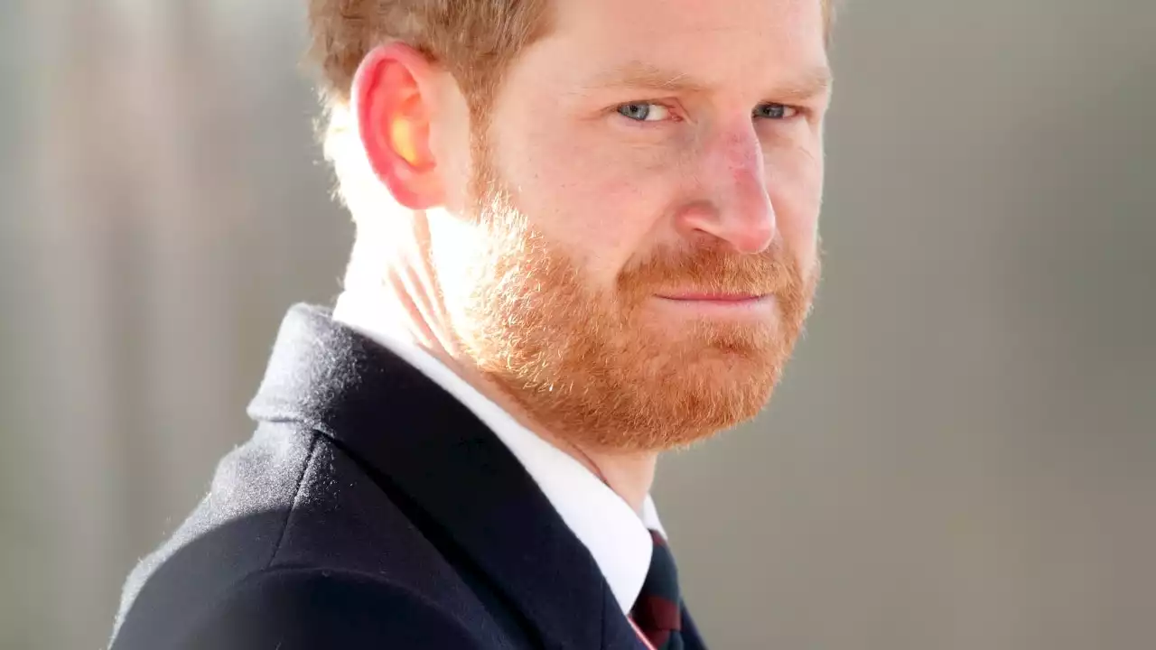 'Immense damage': New warning for Prince Harry