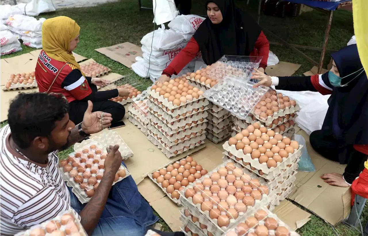 2023 subsidy applications for egg, poultry producers still closed, says Veterinary Dept