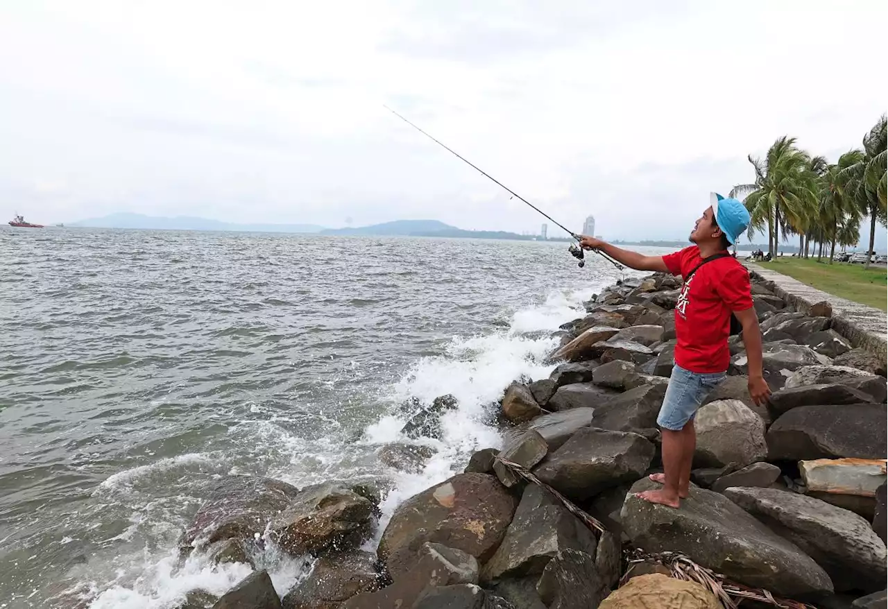 Red tide hits Sabah’s west coast