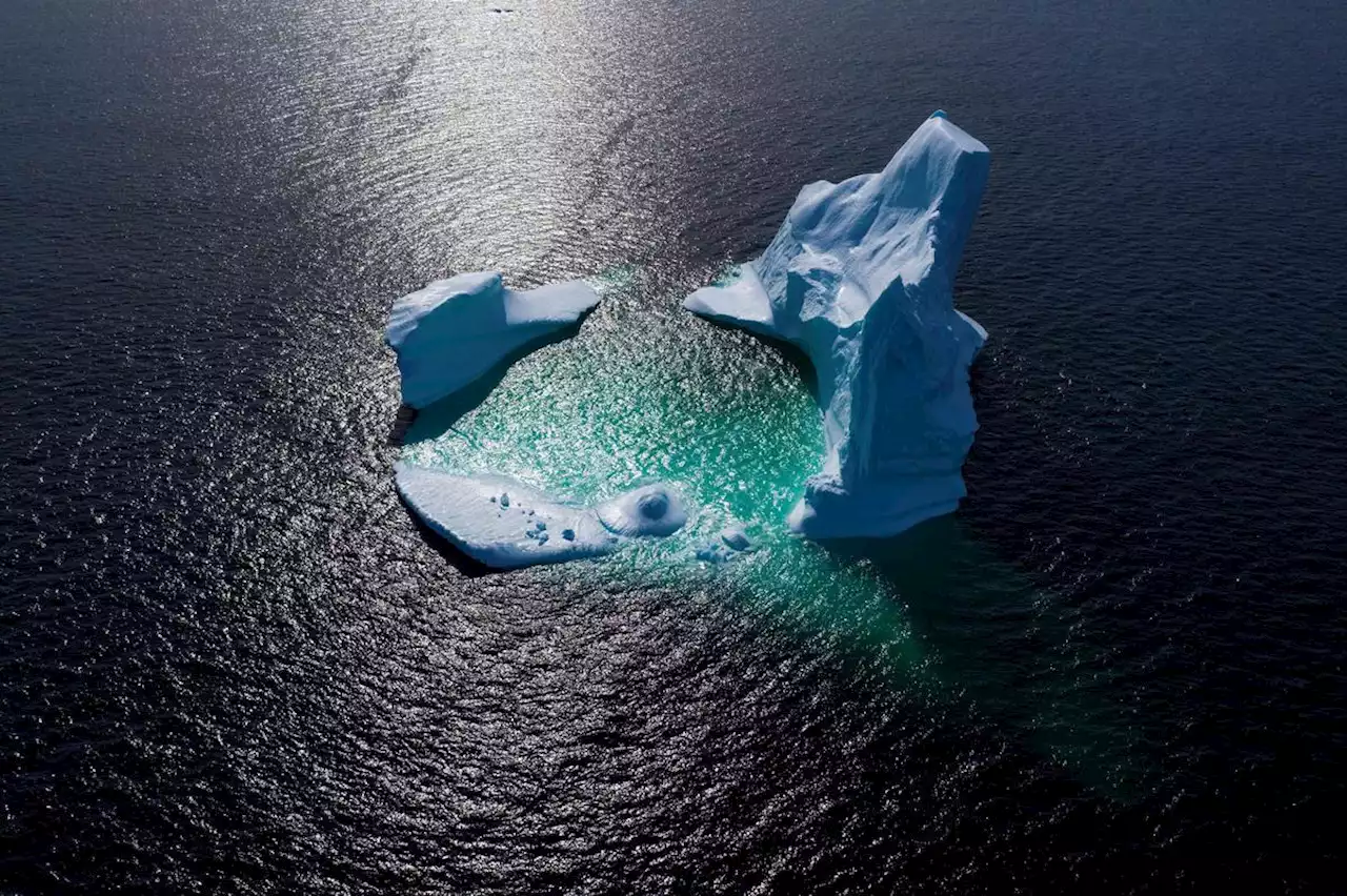 L’ONU sur le pont pour tenter de protéger enfin la haute mer