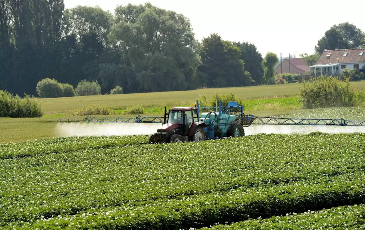 S-métolachlore : après la France, l’herbicide pourrait être interdit au niveau européen