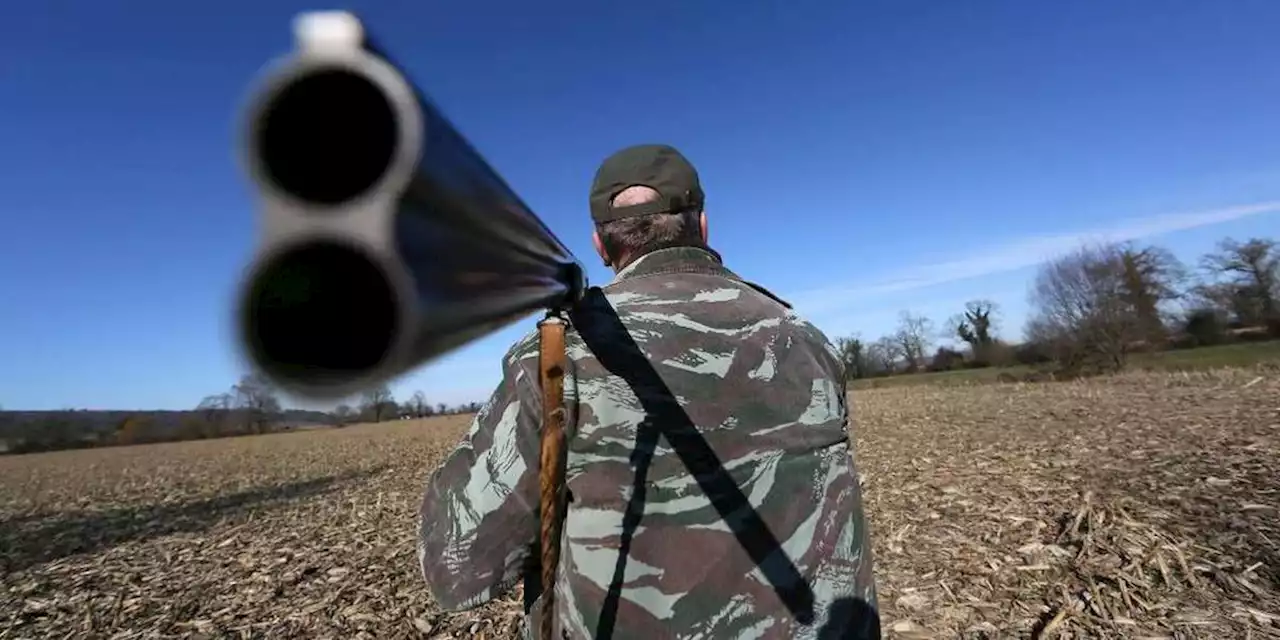 Un promeneur blessé à la jambe par un chasseur en Corrèze