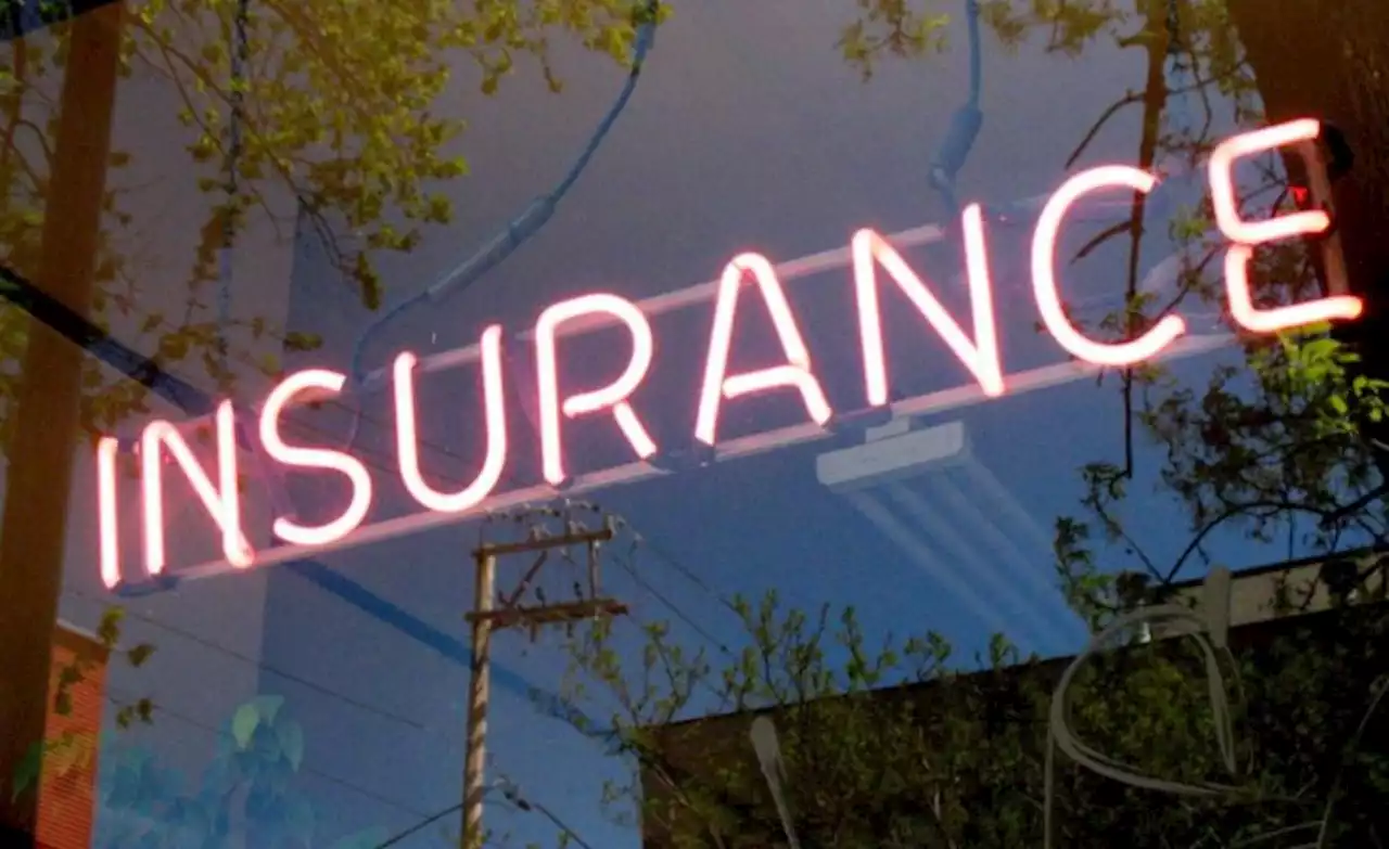 Nigeria's insurance industry: Poised to survive the weak macroeconomy and an election year | TheCable