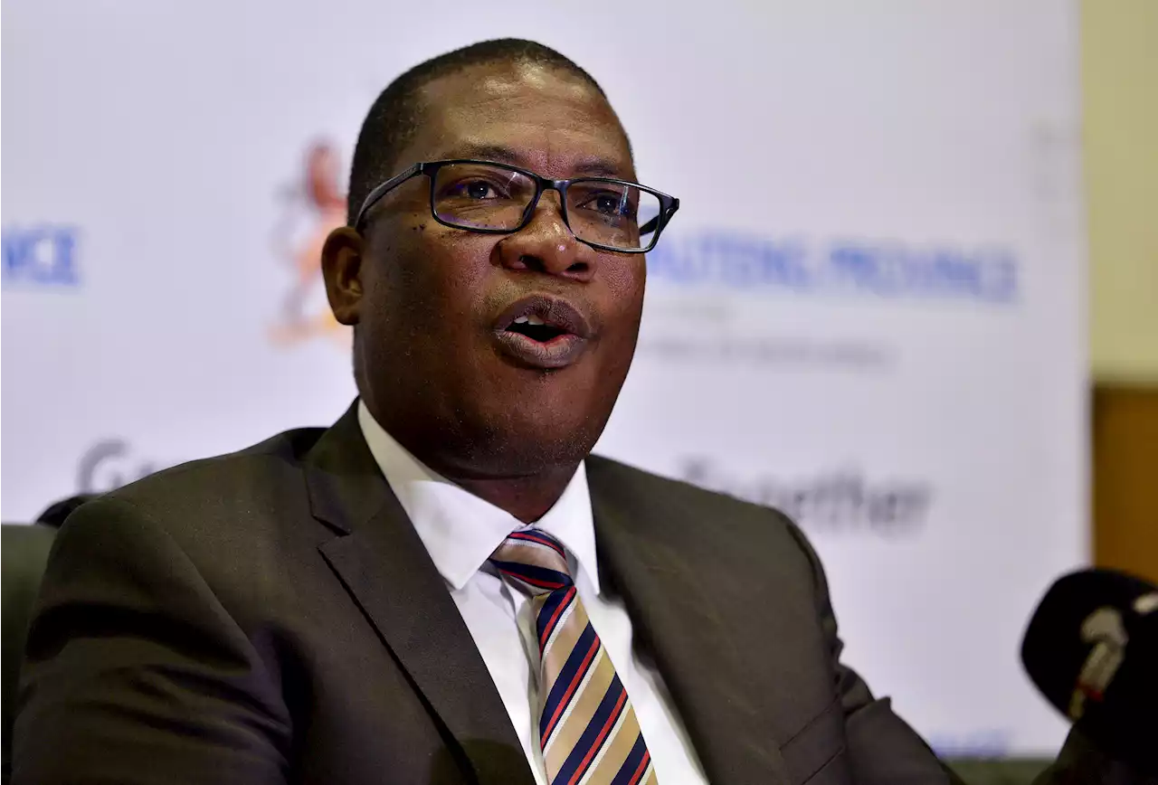 WATCH LIVE: Panyaza Lesufi delivers Gauteng Sopa 2023 speech | The Citizen