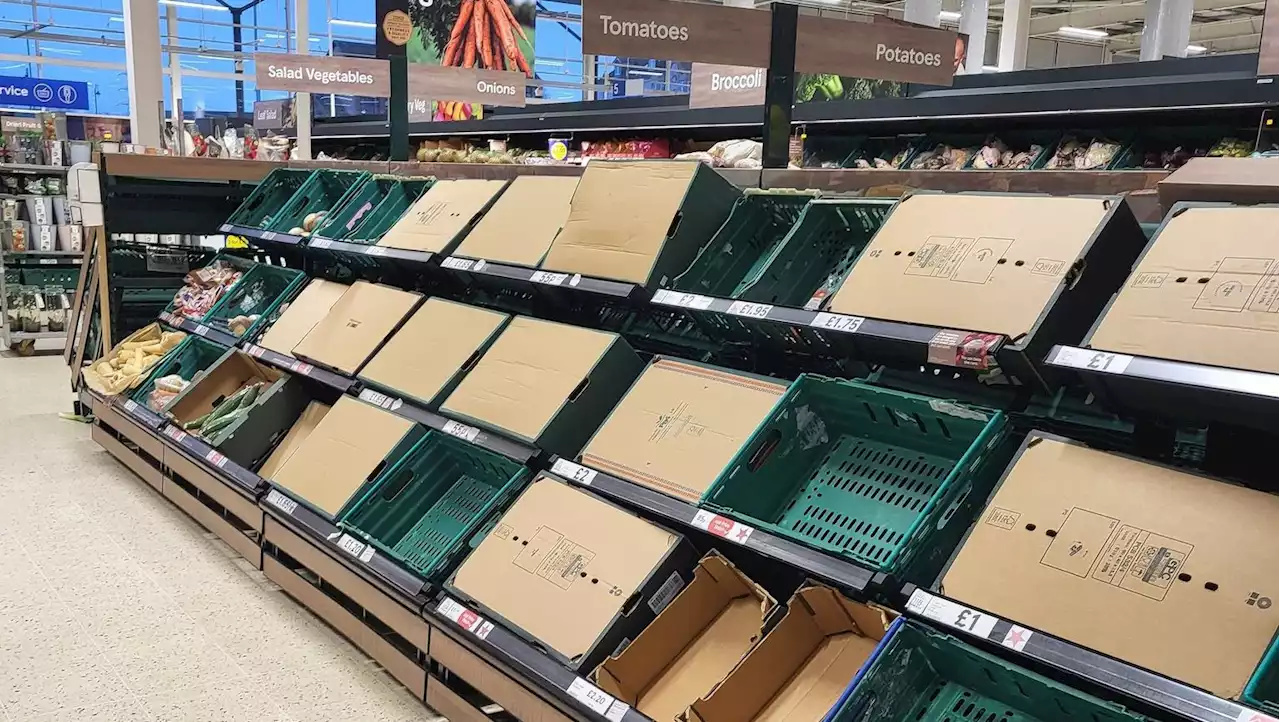 Some supermarket shelves are empty due to bad weather and energy bills, say struggling farmers