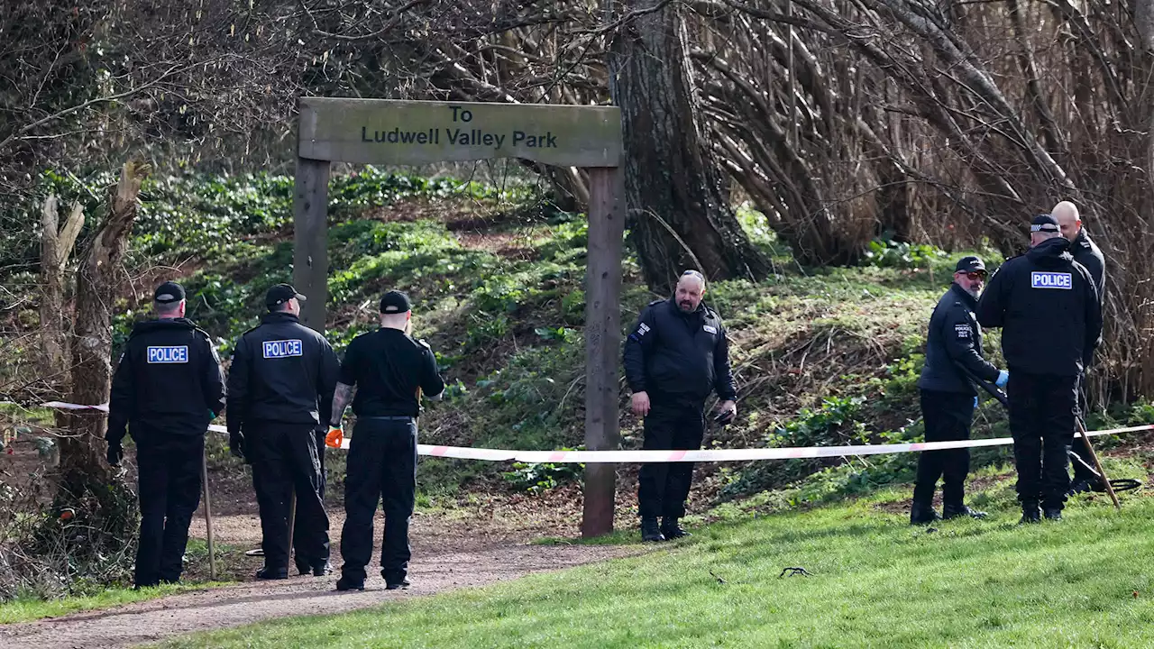 Man charged with murder after woman ‘stabbed to death in park by stranger’