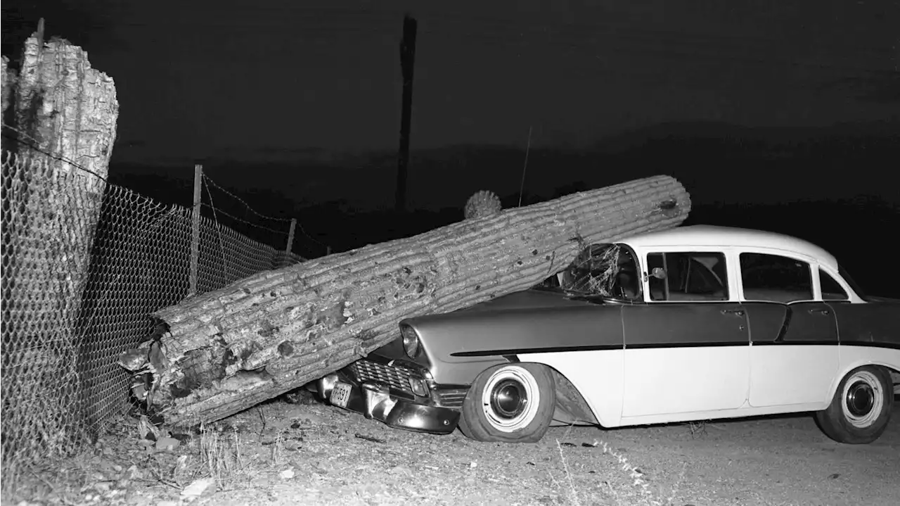 A look at what life was like in Tucson in the early 1960s