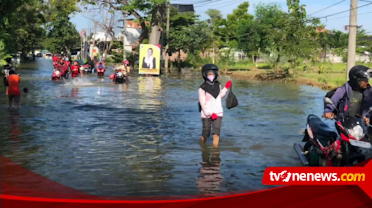 Nekat Terjang Genangan Banjir Luapan Kali Lamong Gresik, Ratusan Kendaraan Mogok