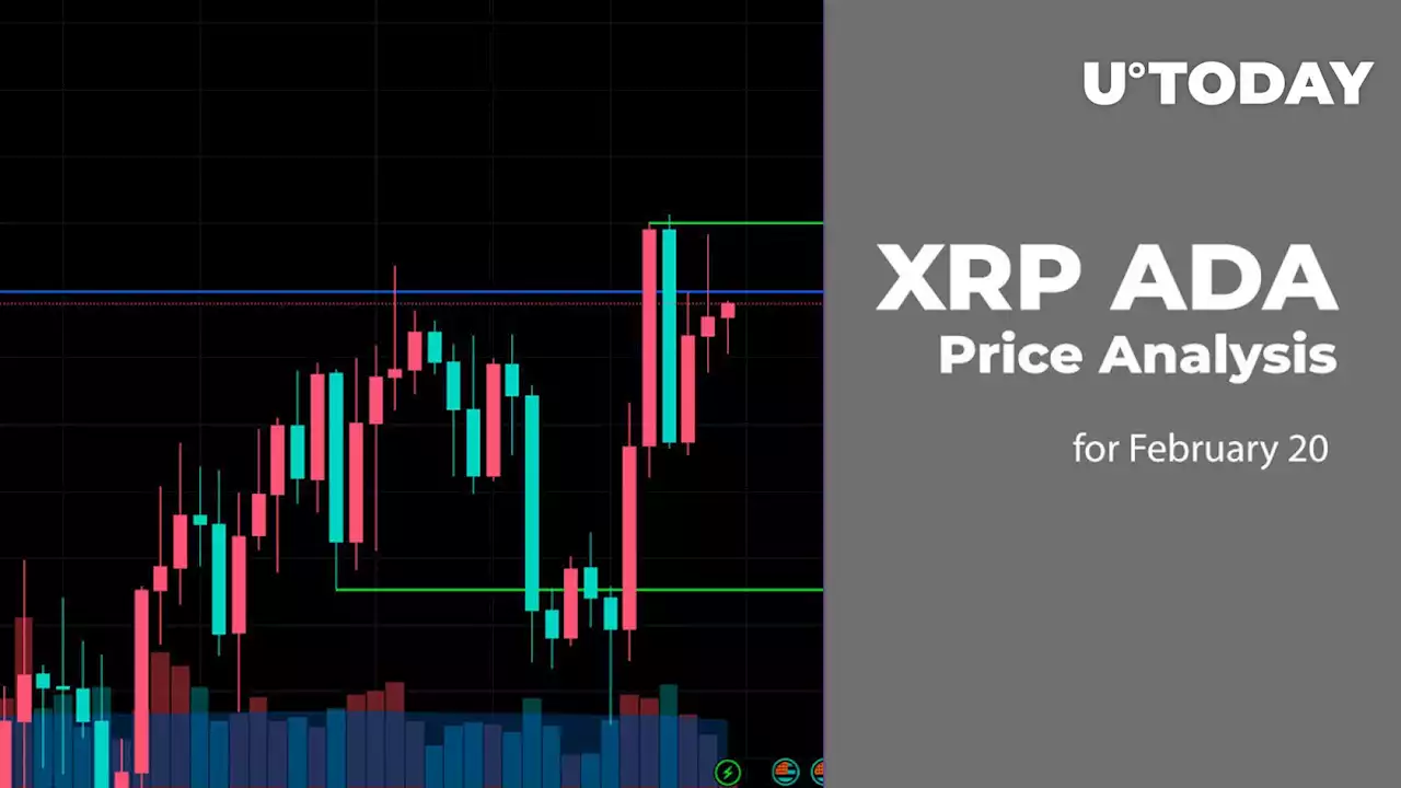 XRP and ADA Price Analysis for February 20