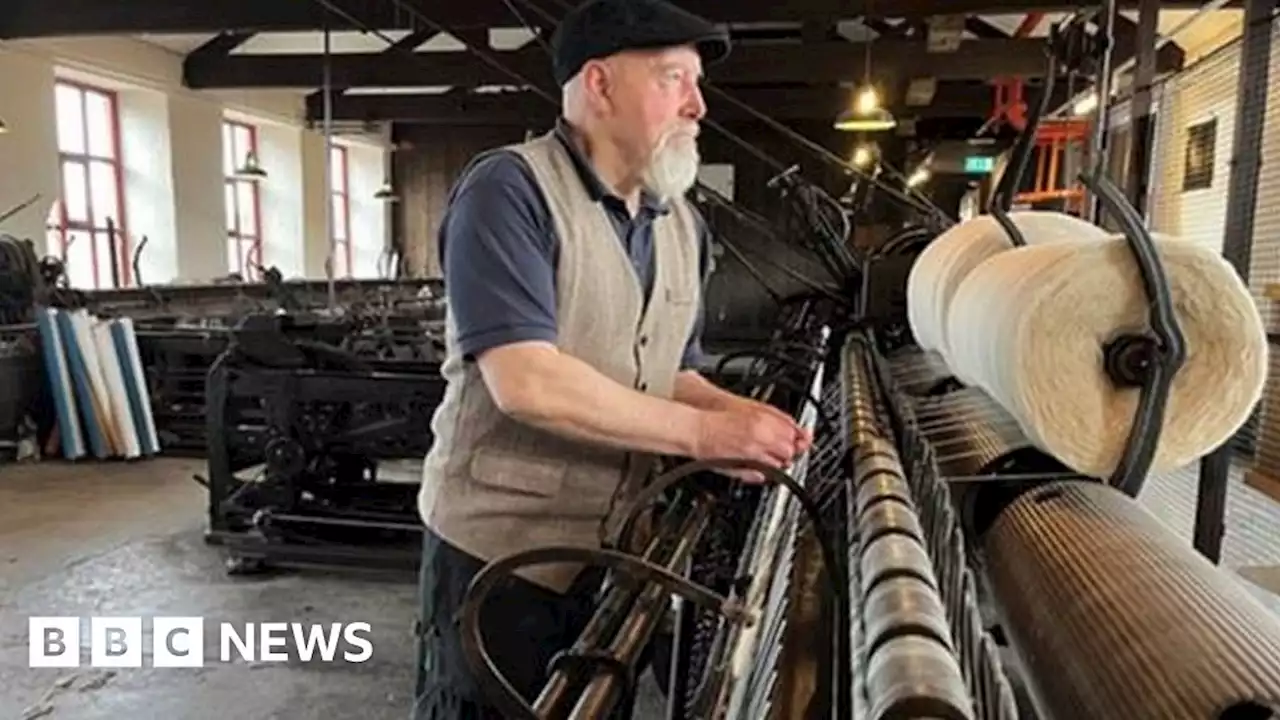 Leeds Museum’s Victorian mule back after mystery malfunction