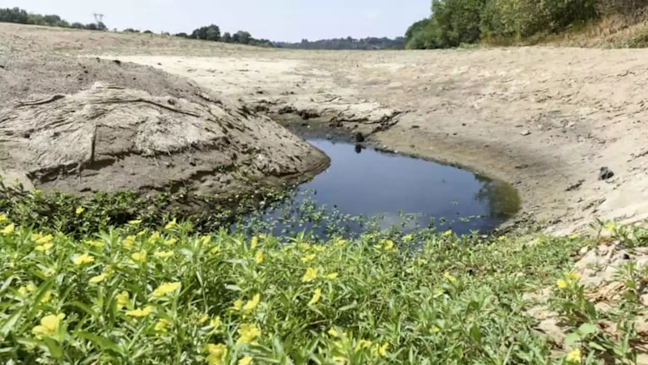 3,6mm à Lille, 1mm à Dunkerque: un déficit de pluie conséquent dans le Nord-Pas-de-Calais en février