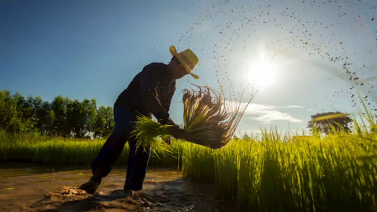 BuCor eyeing hi-tech agri program, inmates as farm workers