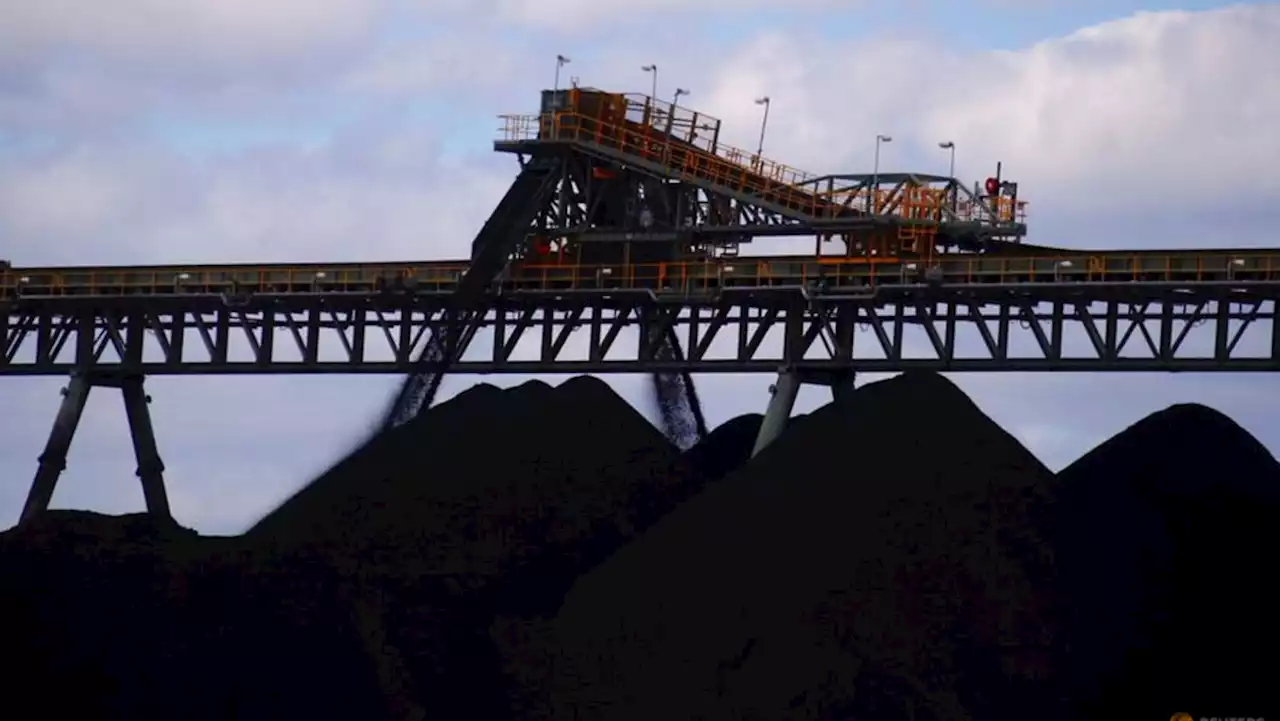 China boosts Australian coal imports on hopes for more easing of curbs -traders, data