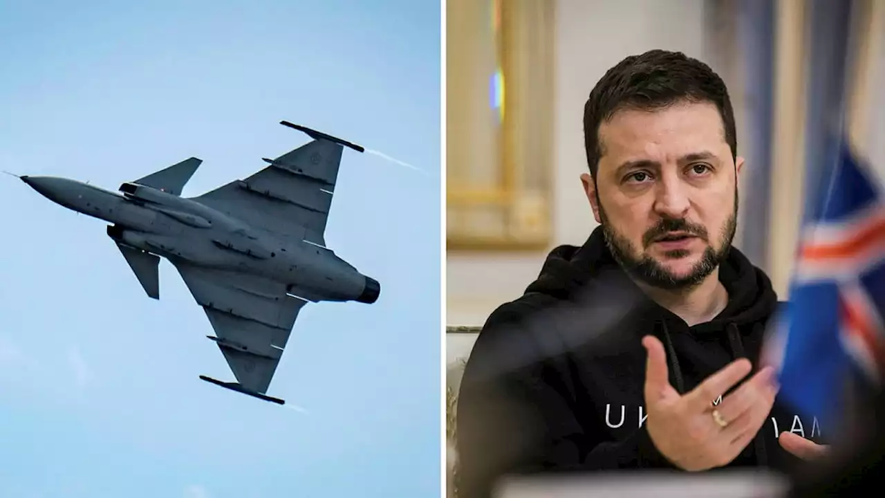 Brittisk professor: Skicka Gripen till Ukraina