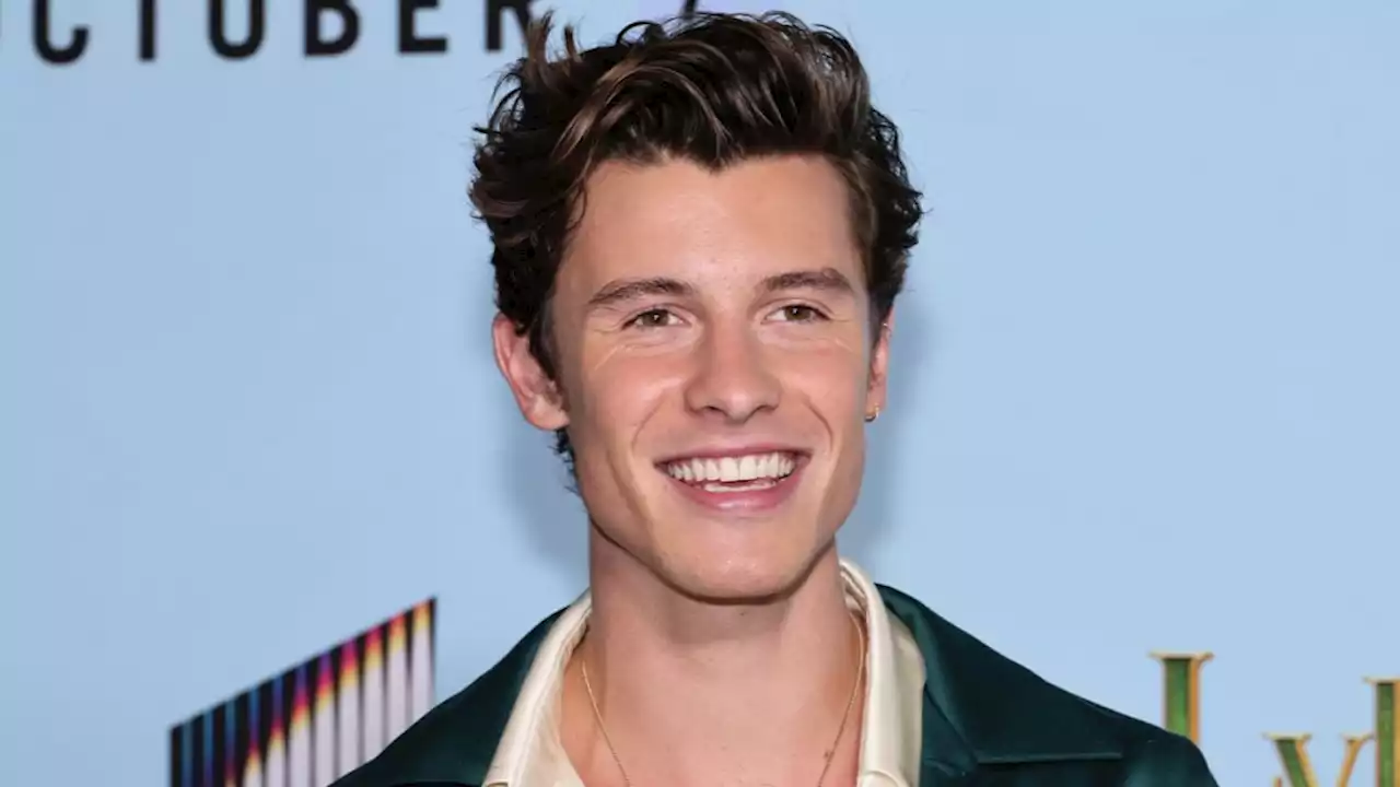 Shawn Mendes Reflects On Pulling The Plug On Tour To Focus On Mental Health: “The Process Was Very Difficult”