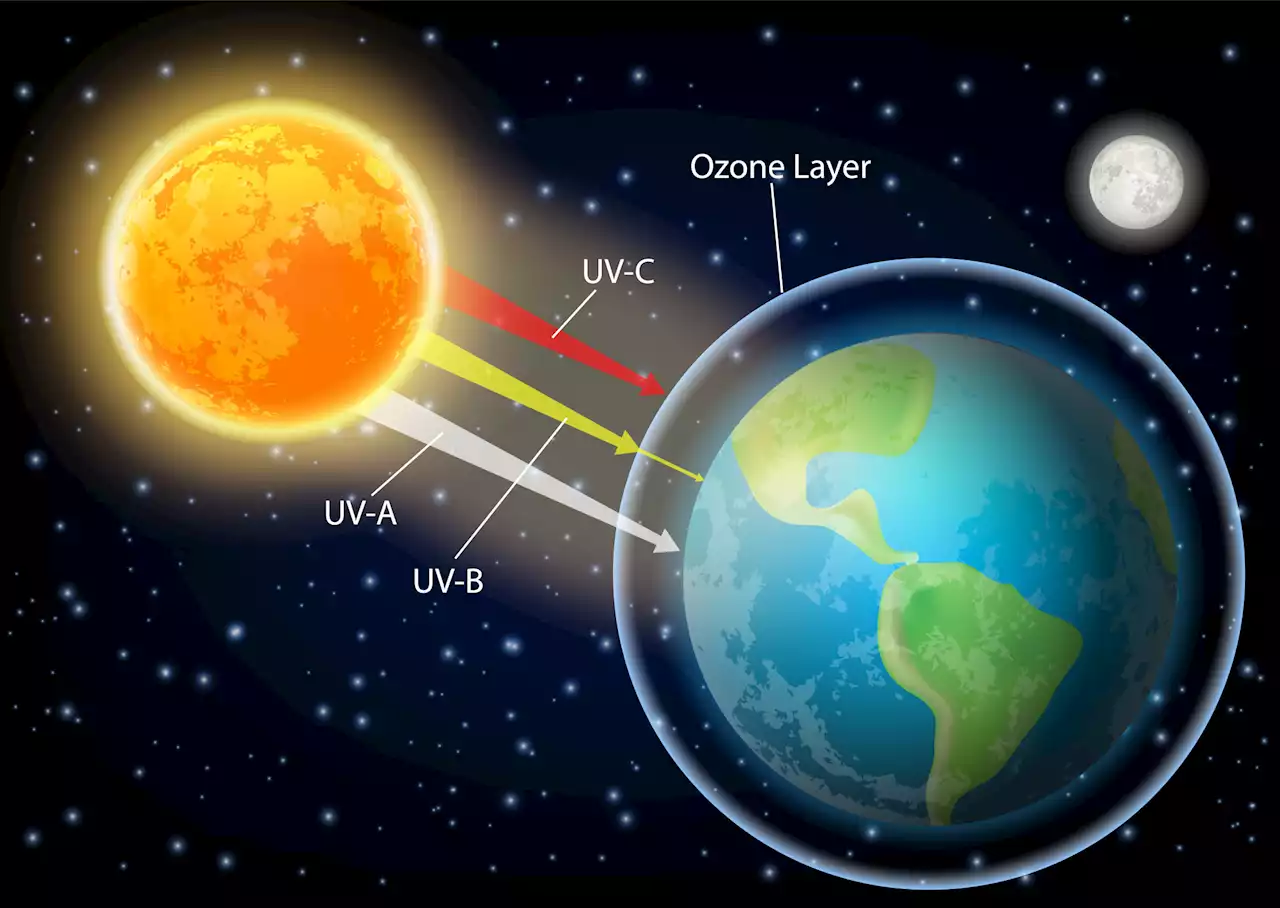 Whatever Happened to the Hole in the Ozone Layer?