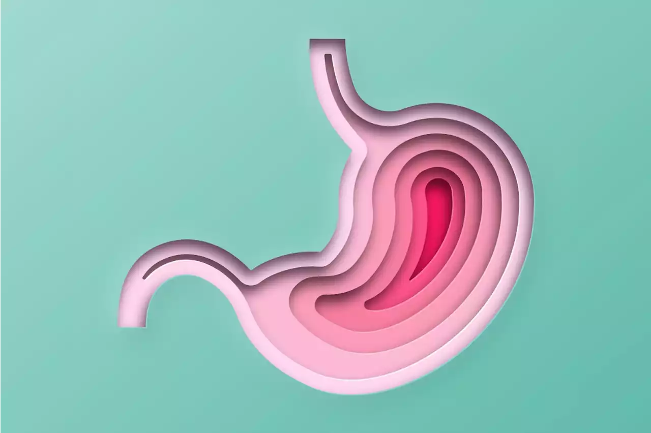 Why Stomach Acid is Super Strong — And Super Important