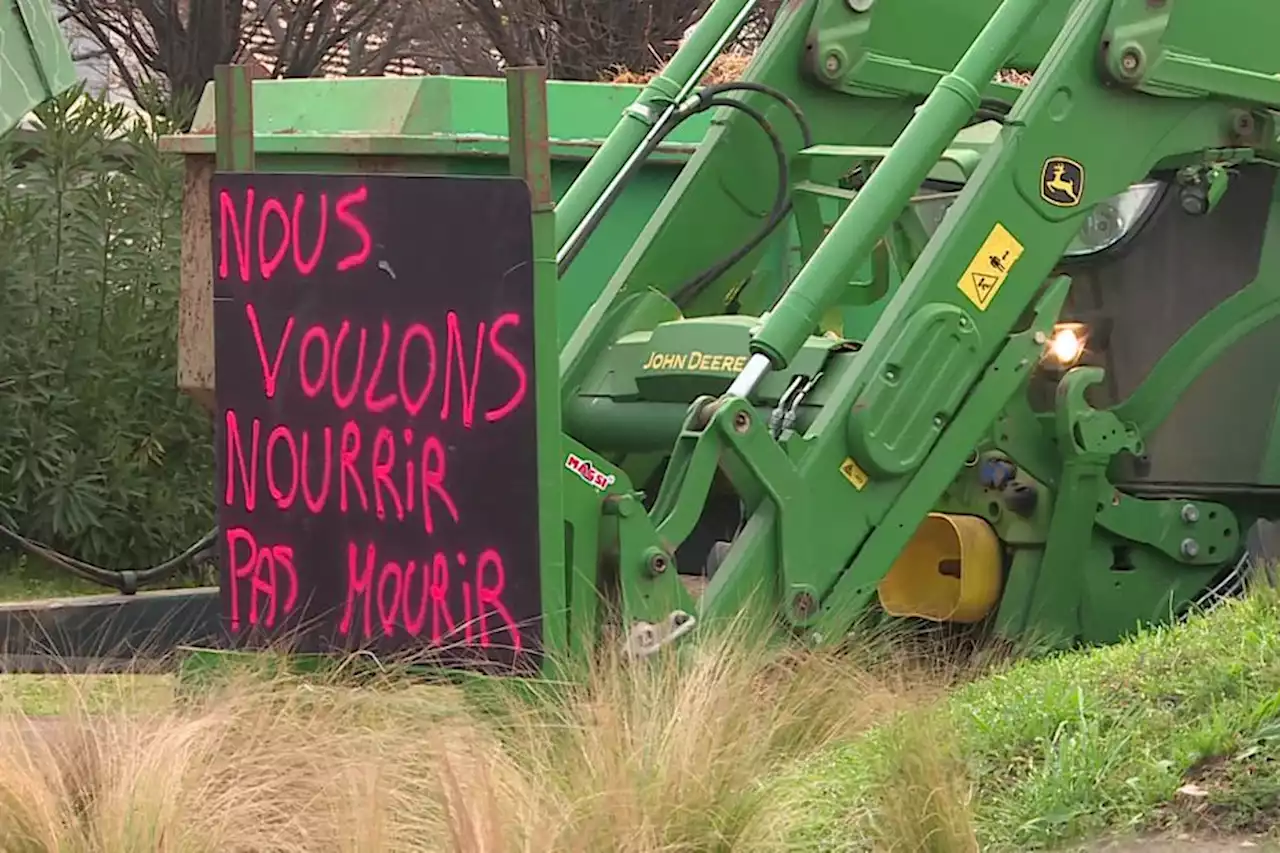 Crise agricole : des centaines de manifestants attendus à Nîmes ce mardi avant le salon de l'agriculture