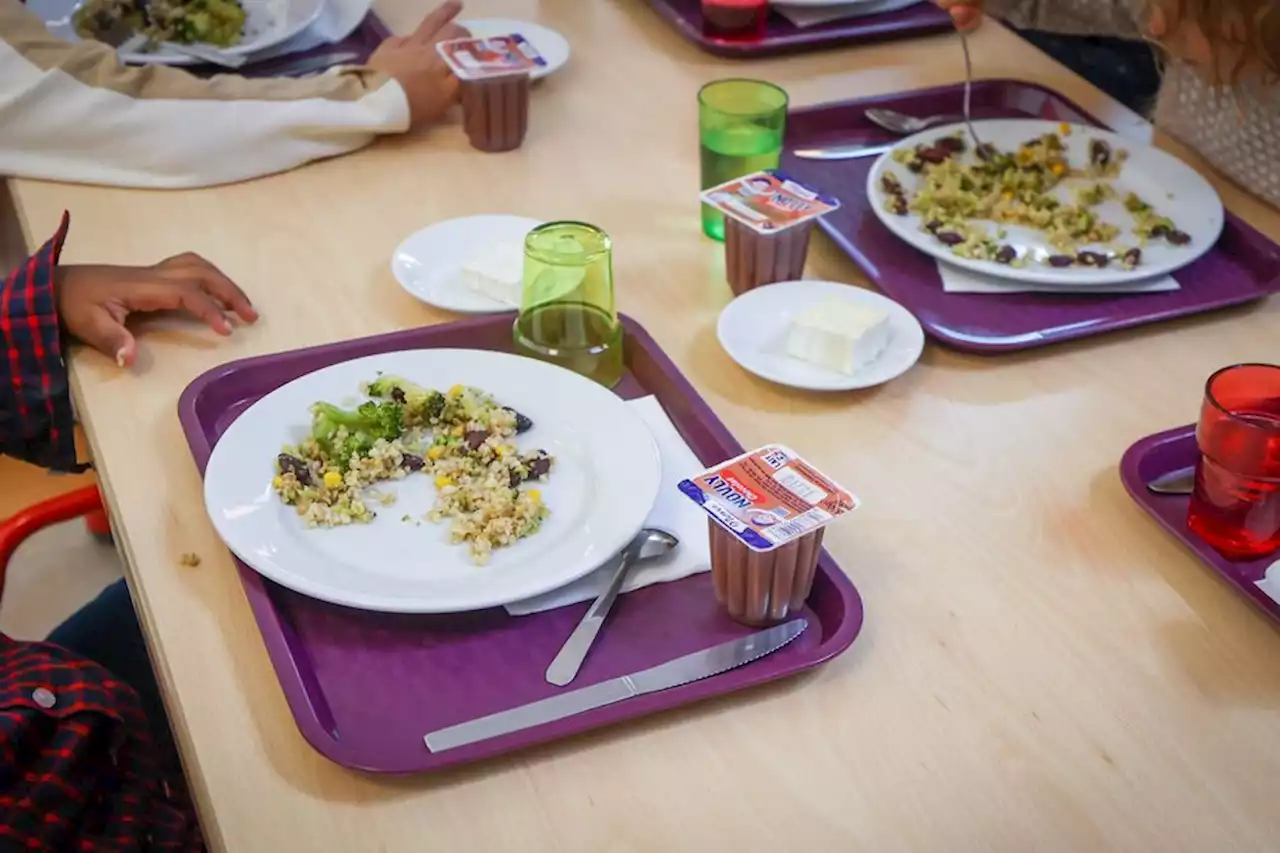 Mégot, bout de carton, verre : des plats douteux préparés pour des cantines scolaires près de Toulouse