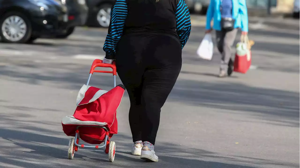 Santé : l’obésité et le surpoids touchent près d’un Français sur deux