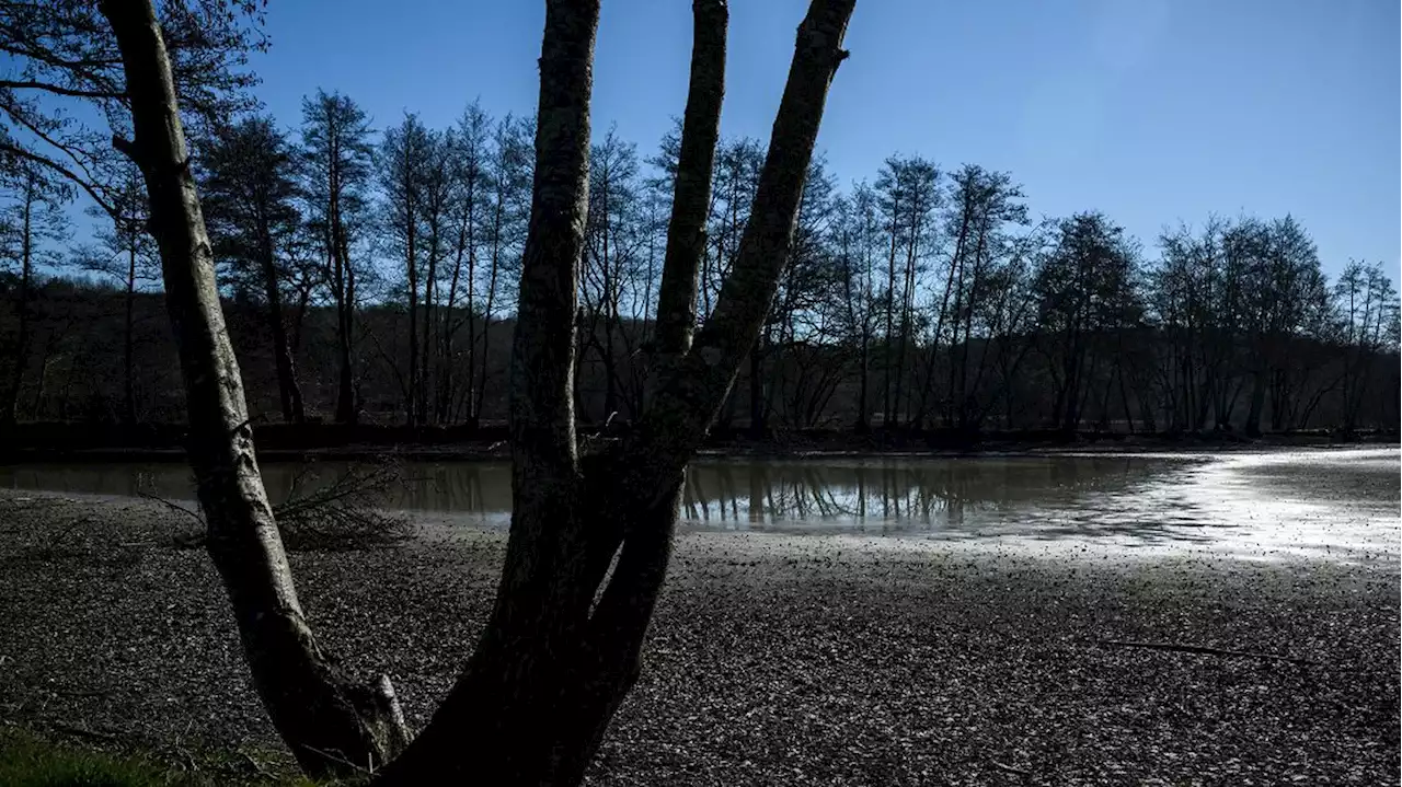 Sécheresse : la France a connu 31 jours sans pluie et égale le record de 2020