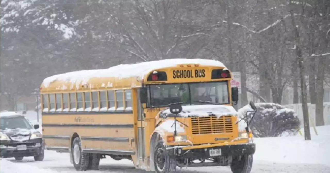 Schools and yellow buses cancelled as Calgary expects snowfall - Calgary | Globalnews.ca