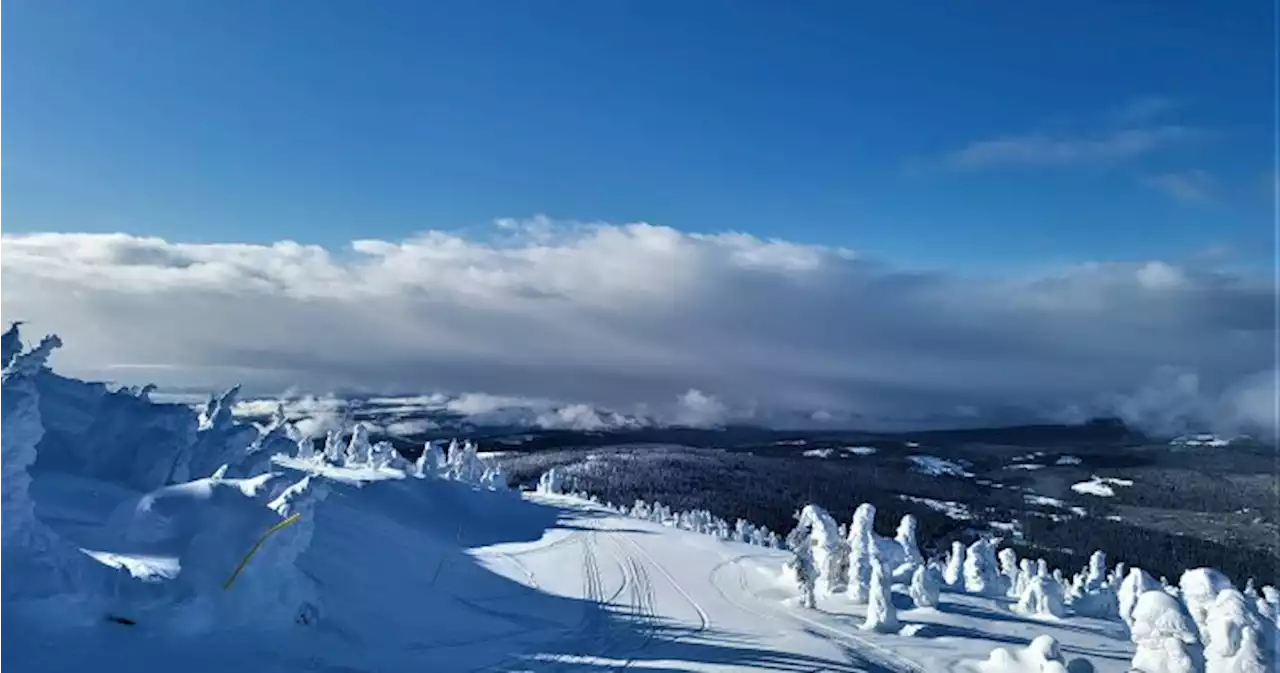 B.C. Southern Interior slopes benefit from heavy snowfall | Globalnews.ca