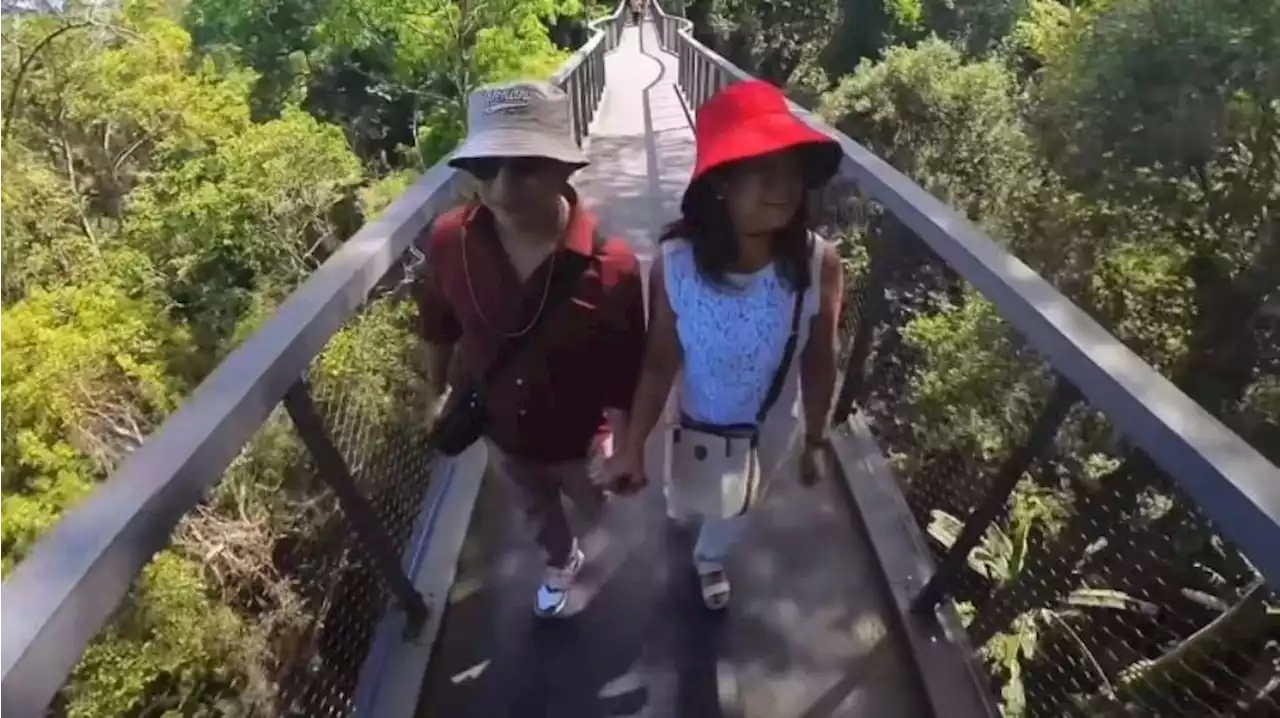 WATCH: Michael V. sweetly hold hands with wife as they cross Malaysia's Langur Way Canopy Walk