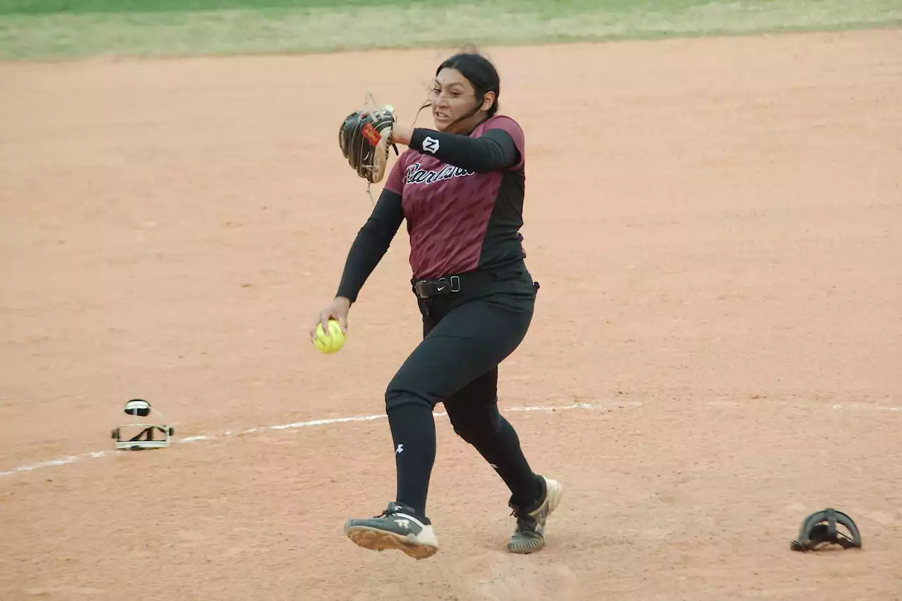 Houston HS softball: No-hitter by Crosby's Hicks among highlights