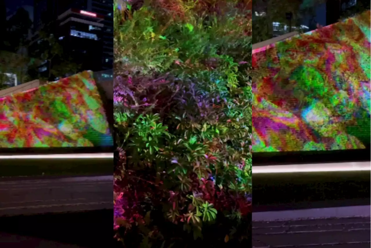 Catch colorful digital art 'In Bloom' still up at Ayala Triangle Gardens