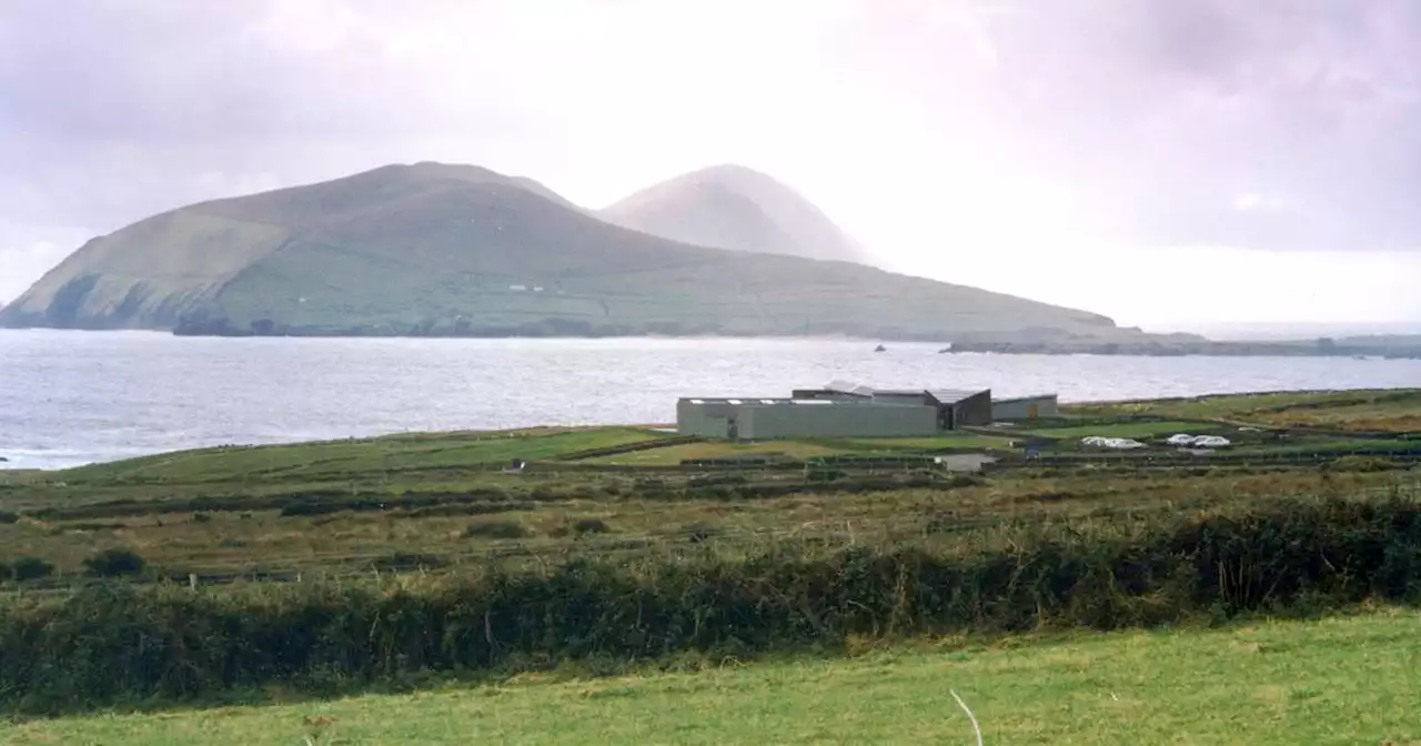 Collision of ships in night off Kerry coast could have led to environmental disaster, court hears