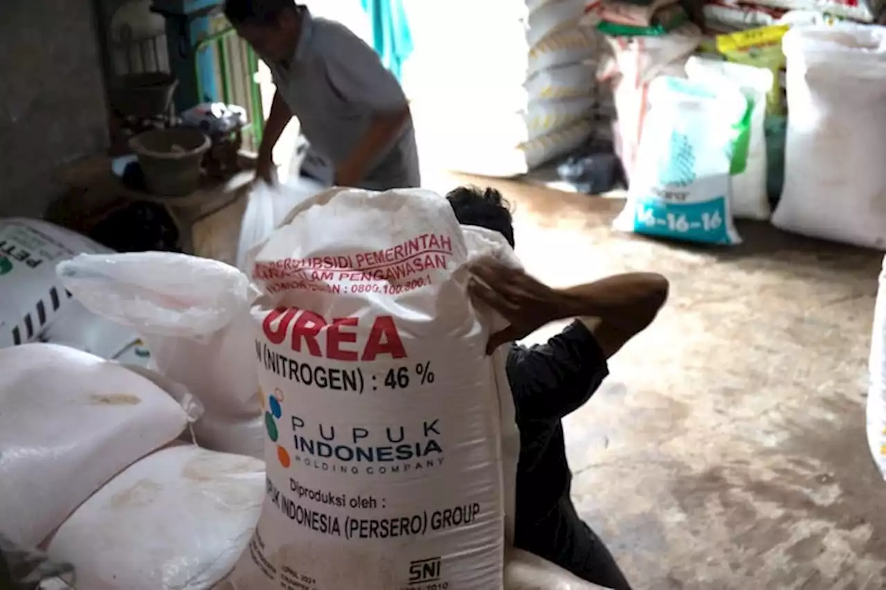 Bongkar Korupsi Pupuk, Kejagung Diminta Sasar Pemain Kakap