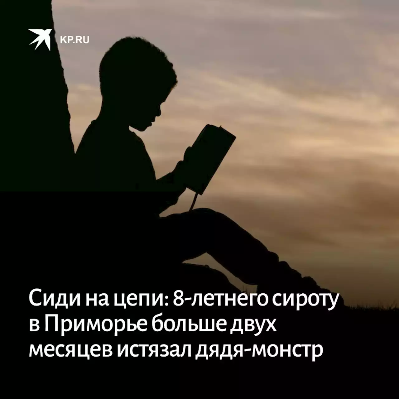 Сиди на цепи: 8-летнего сироту в Приморье больше двух месяцев истязал дядя-монстр