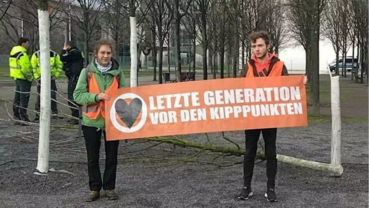 Berlin: Aktivisten fällen vor Kanzleramt Baum