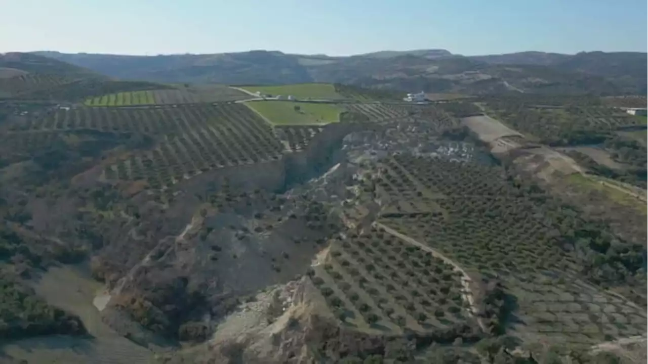 Earthquake creates huge canyon in olive grove in Turkey