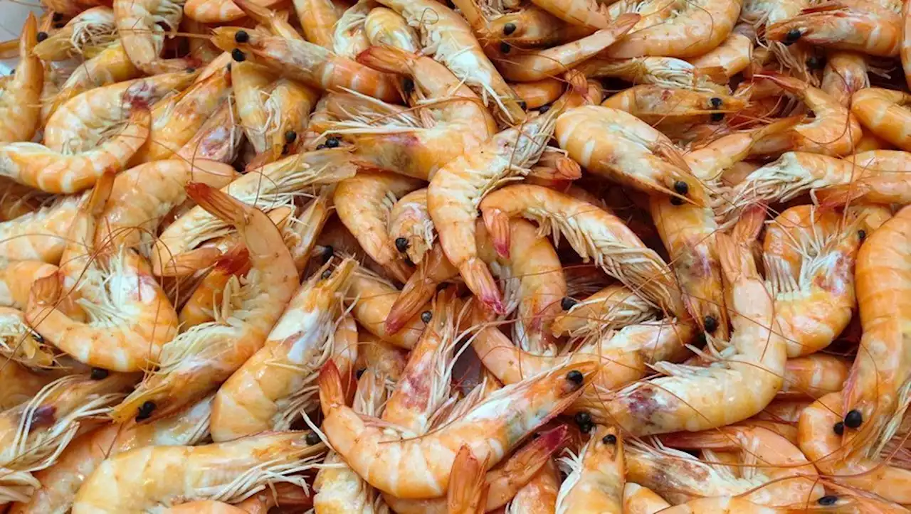 Rappel de produits : des crevettes surgelées vendues chez E. Leclerc contiendraient des sulfites