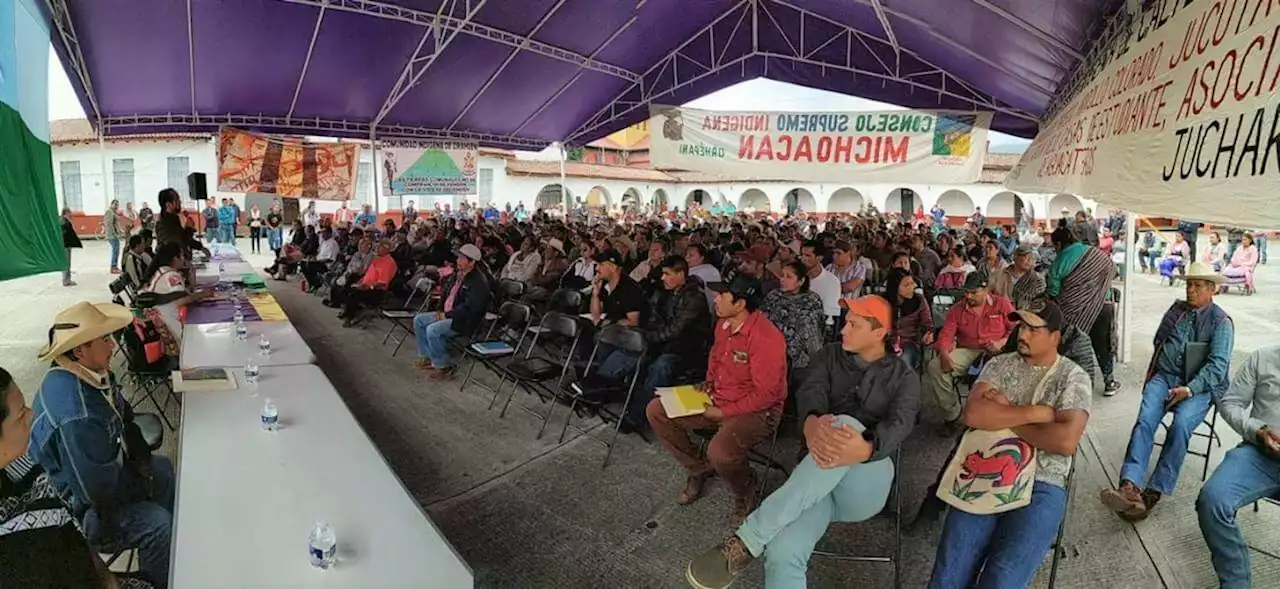 La Jornada: Demandan justicia para defensores de bosques ultimados o desaparecidos