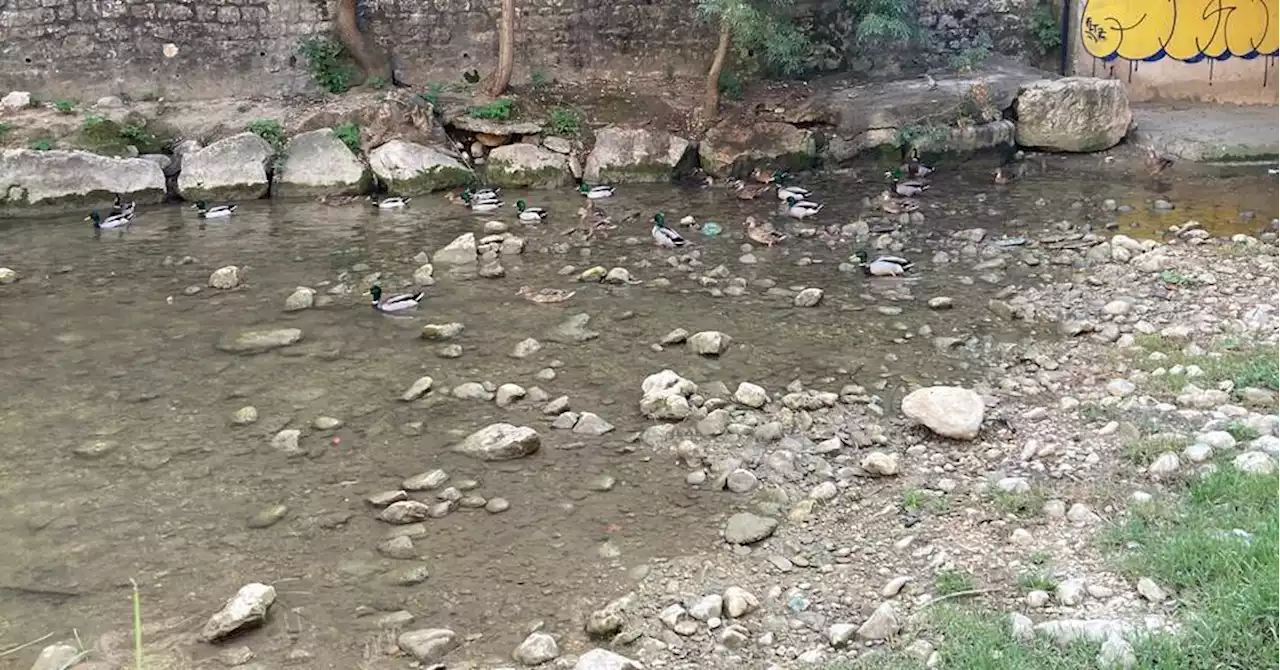 Les sols des Bouches-du-Rhône déjà victimes de la sécheresse après 31 jours sans pluie