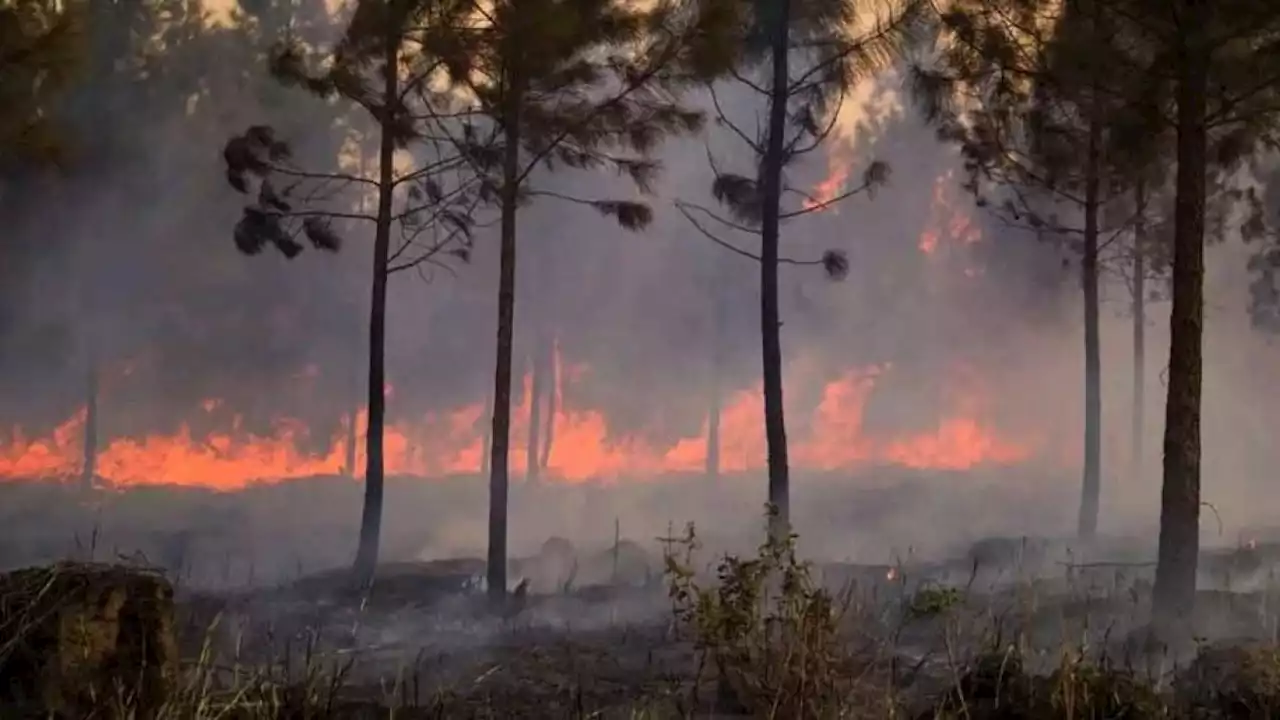 Incendio forestal de gran magnitud y sin control afecta zona oriente de Cuba