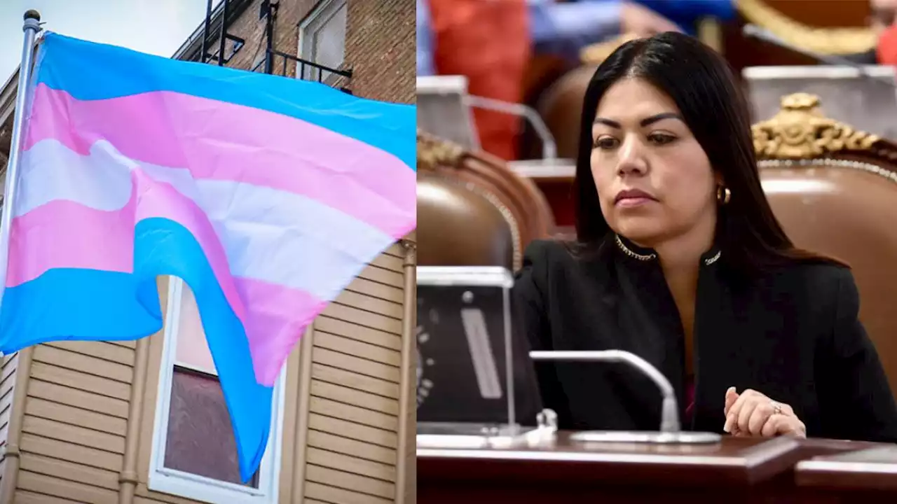 'Infancias trans': ¿Por qué protestaron colectivos trans y LGBT+ en el Congreso CDMX?