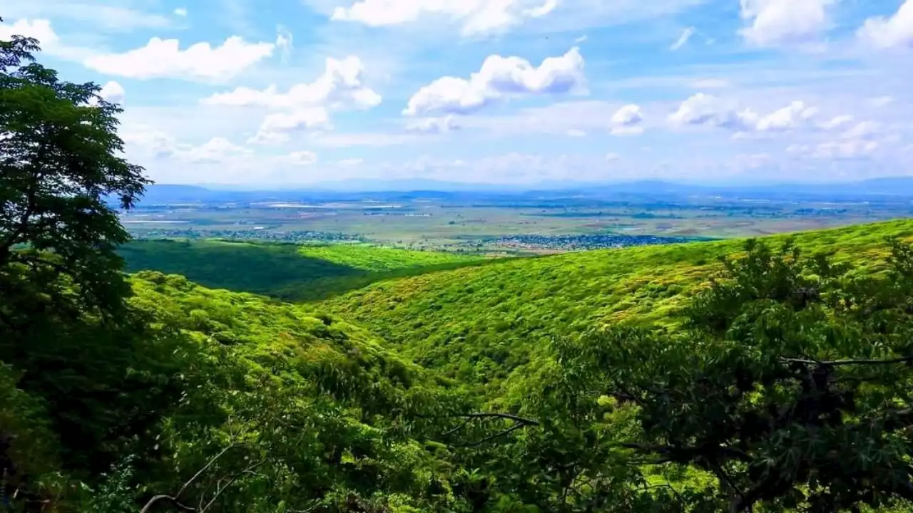 El Cerro del Veinte en Irapuato, el bosque que le hace frente al cambio climático