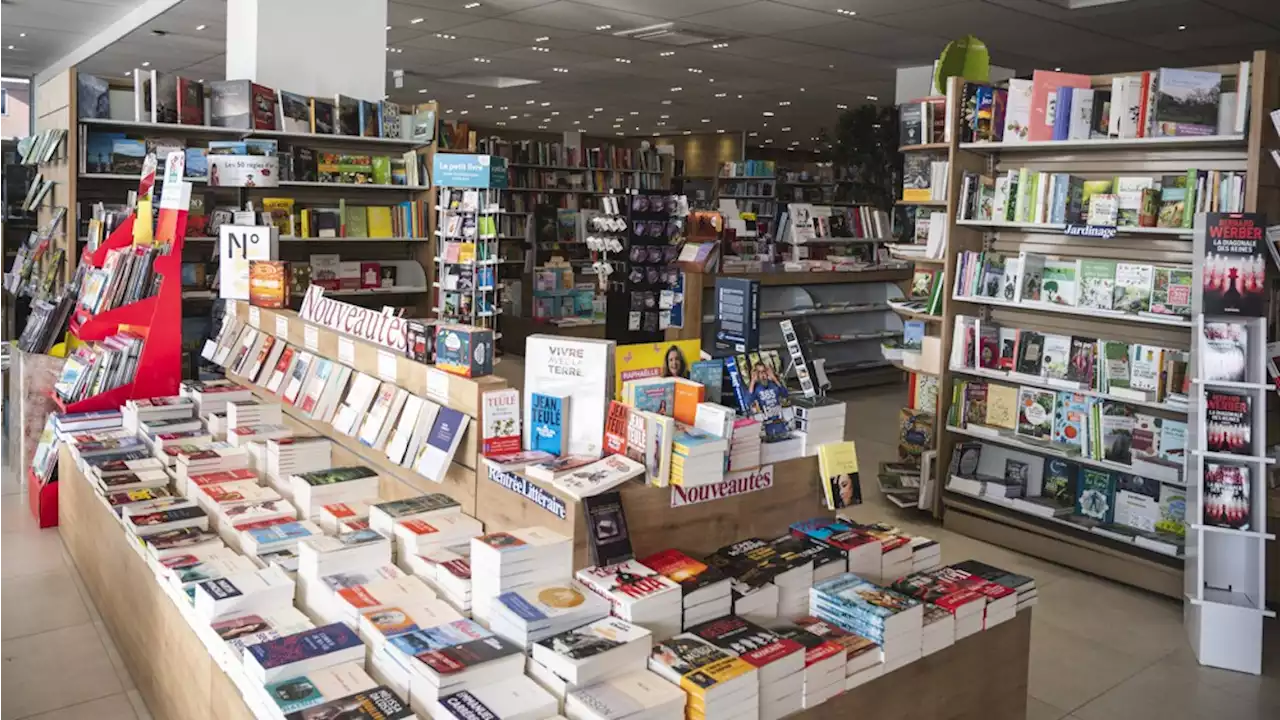 Inflation : le casse-tête des libraires et des éditeurs face à la hausse des livres