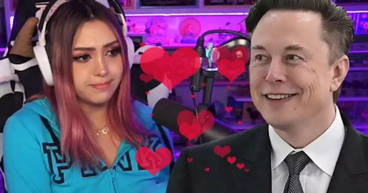 Elon Musk reacciona a video de Ari Gameplays y Twitter explota | LevelUp