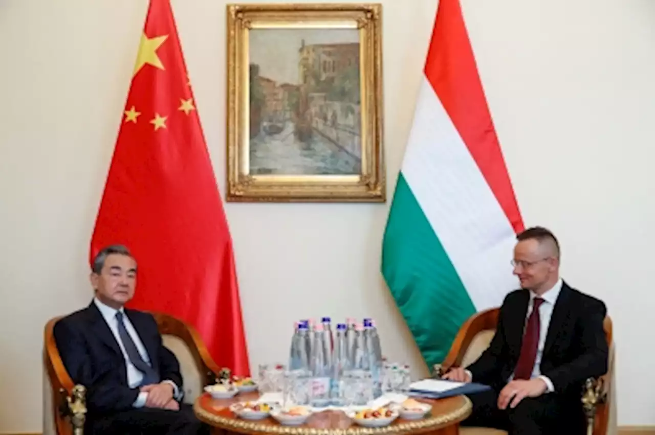 China, Hungary ready to cooperate over ending Ukraine conflict