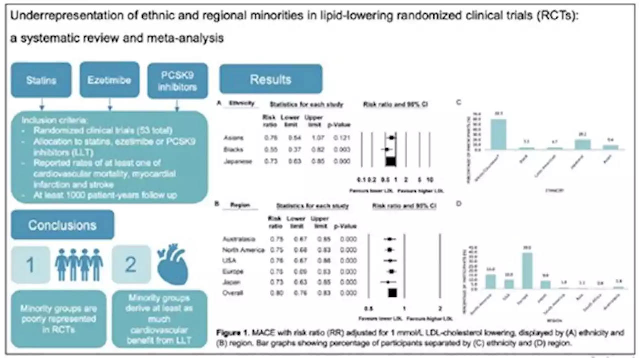 Underrepresentation of ethnic and regional minorities in lipid-lowering randomized clinical trials: a systematic review and meta-analysis